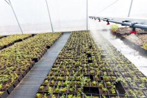 lubuski ośrodek innowacji i wdrożeń agrotechnicznych